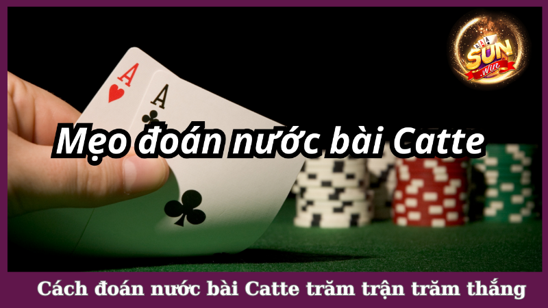 Cách đoán nước bài Catte trăm trận trăm thắng như cao thủ