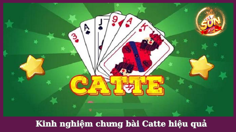 Kinh nghiệm áp dụng cách chưng bài Catte lão luyện
