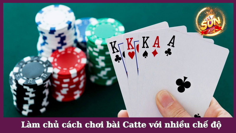 Làm chủ cách chơi bài Catte với nhiều chế độ