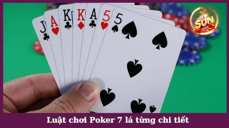 Luật chơi Poker 7 lá từng chi tiết dành cho tân binh