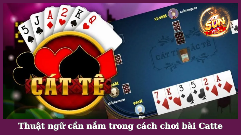 Thuật ngữ cần nắm trong cách chơi bài Catte